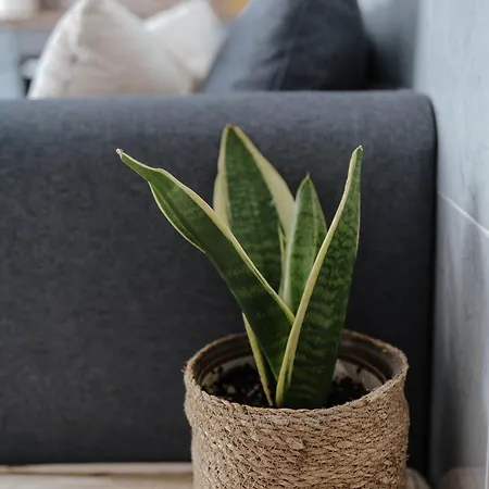 Casa Da Sereia Apartamento Leiria