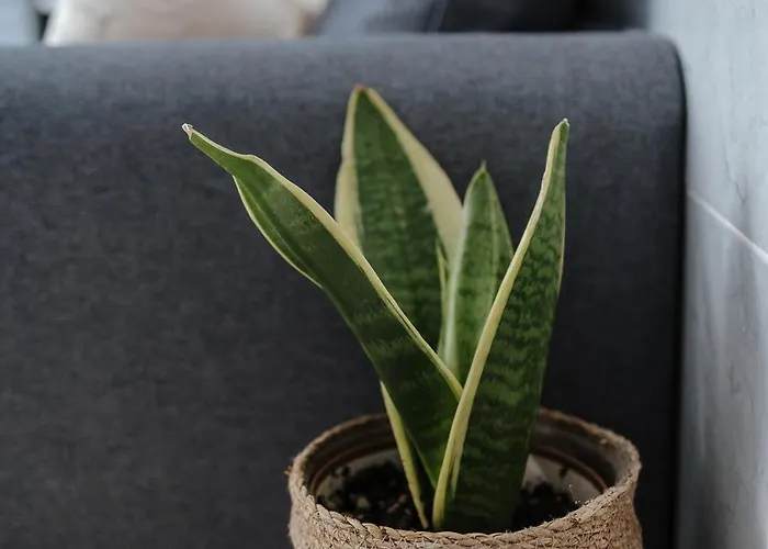 Casa Da Sereia Appartamento Leiria
