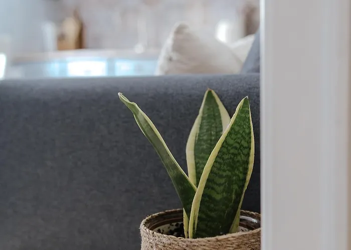 Casa Da Sereia Leiria